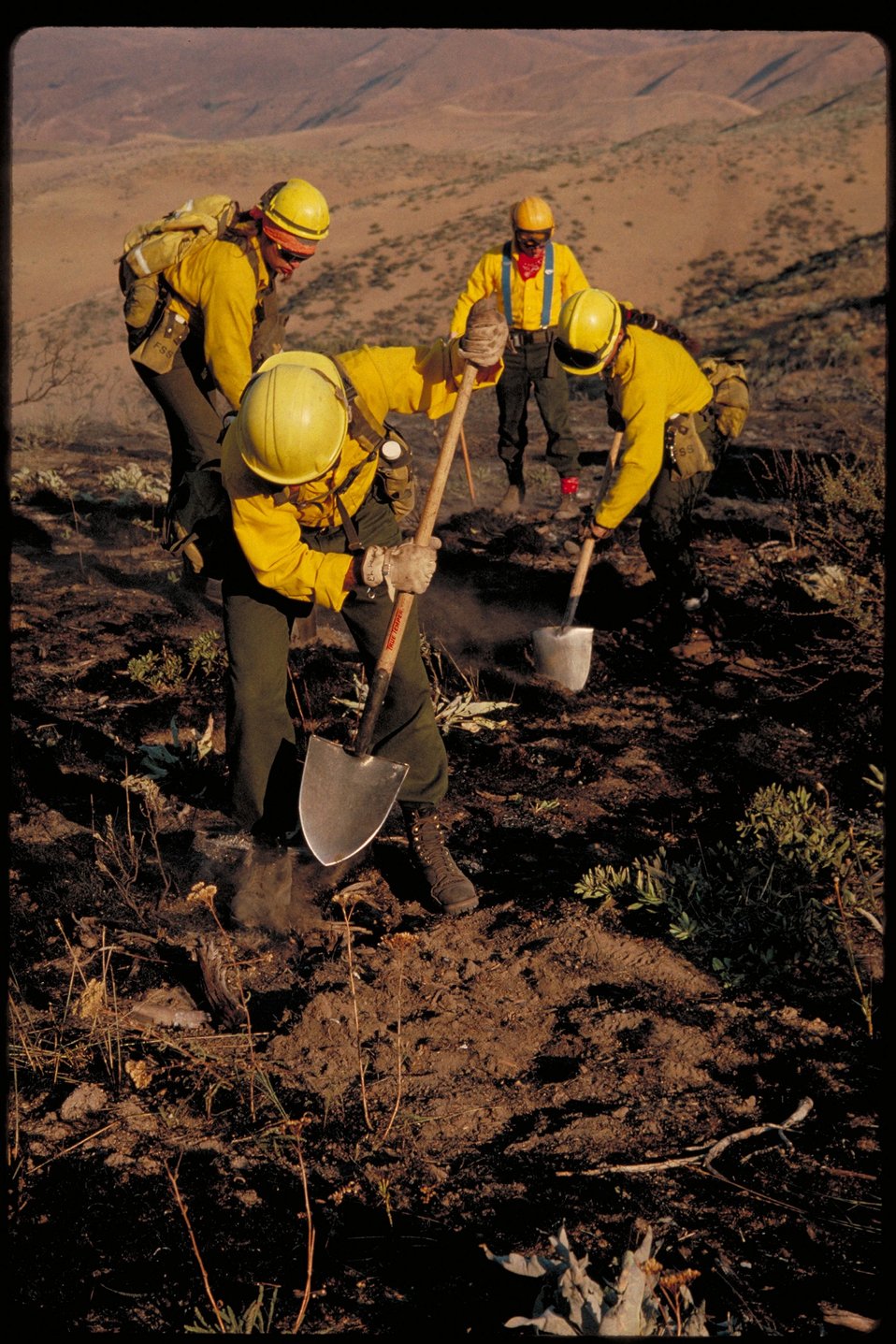 Shovel Crew - arson  Foothills  Boise Front  Four Rivers Field Office  LSRD  Lower Snake River District