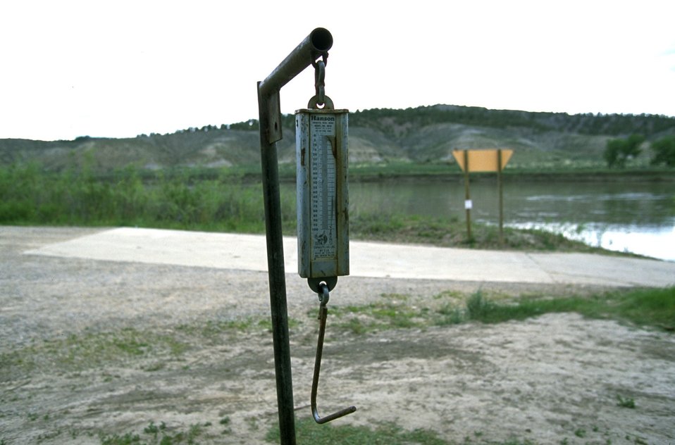 Fish Scale at Kipp Recreation Site in the Upper Missouri National Wild & Scenic River area