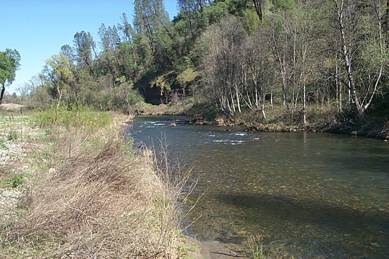 No Image Description Available