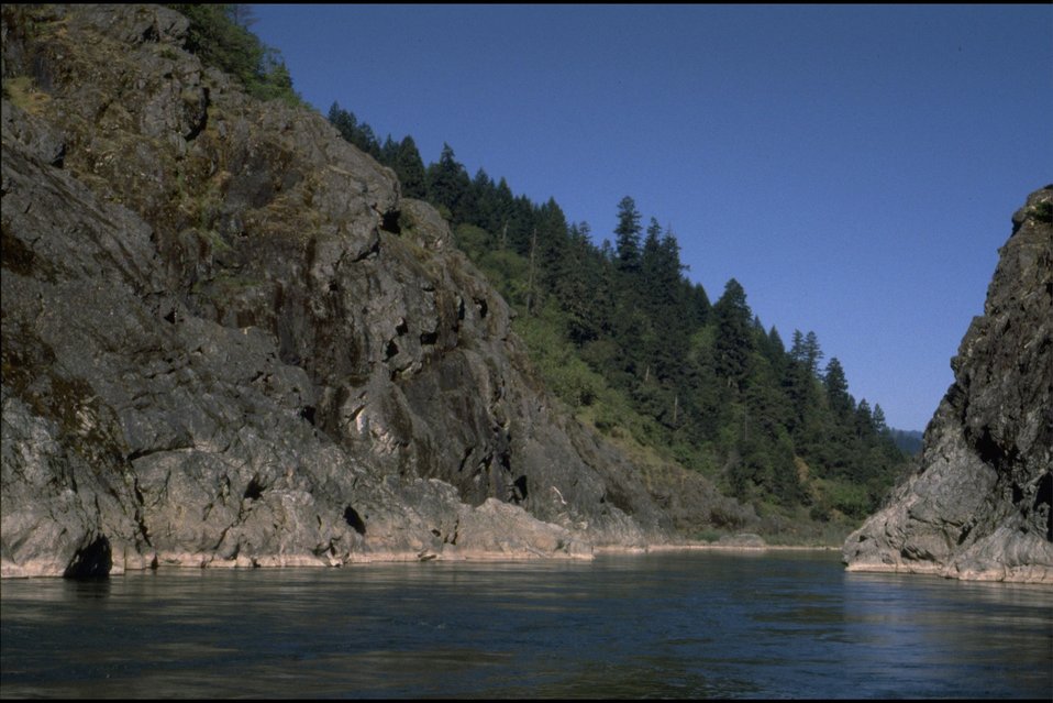 No Image Description Available