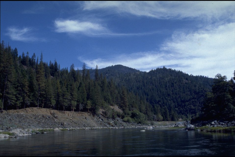 No Image Description Available