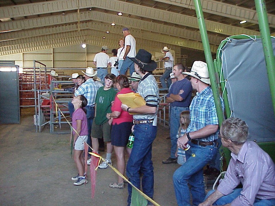 Public Domain Picture Lewiston Wild Horse and Burro Adoption Program