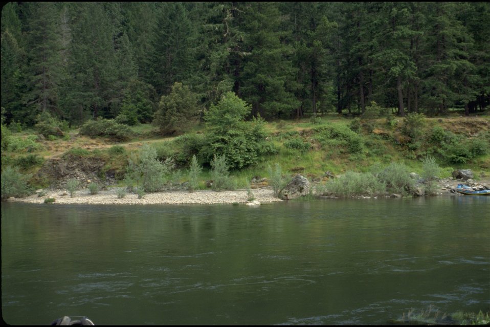 No Image Description Available