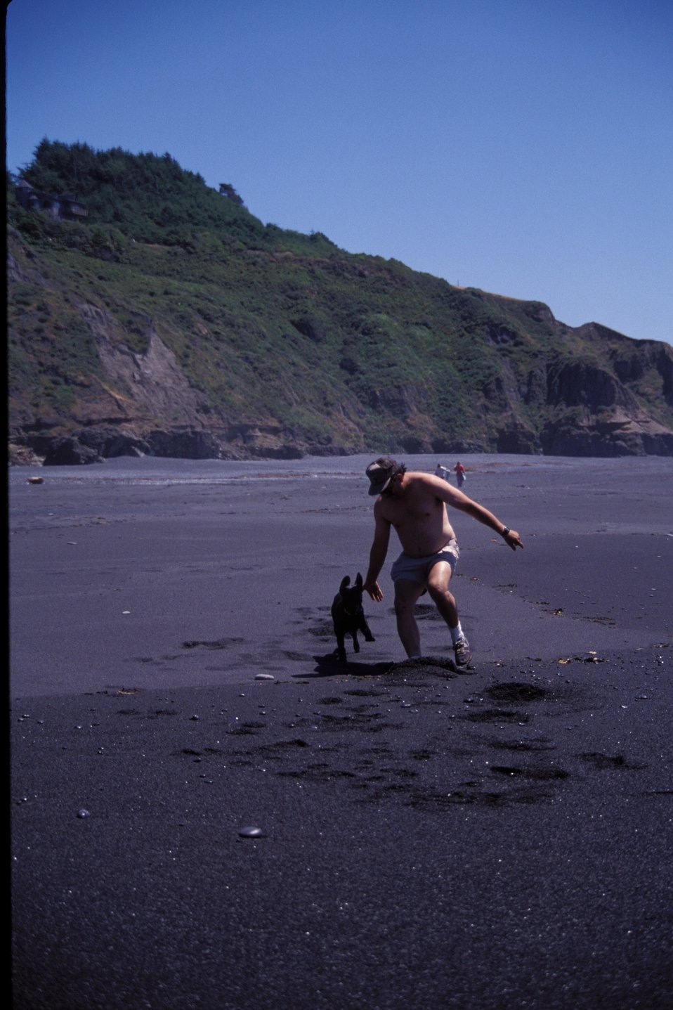 No Image Description Available