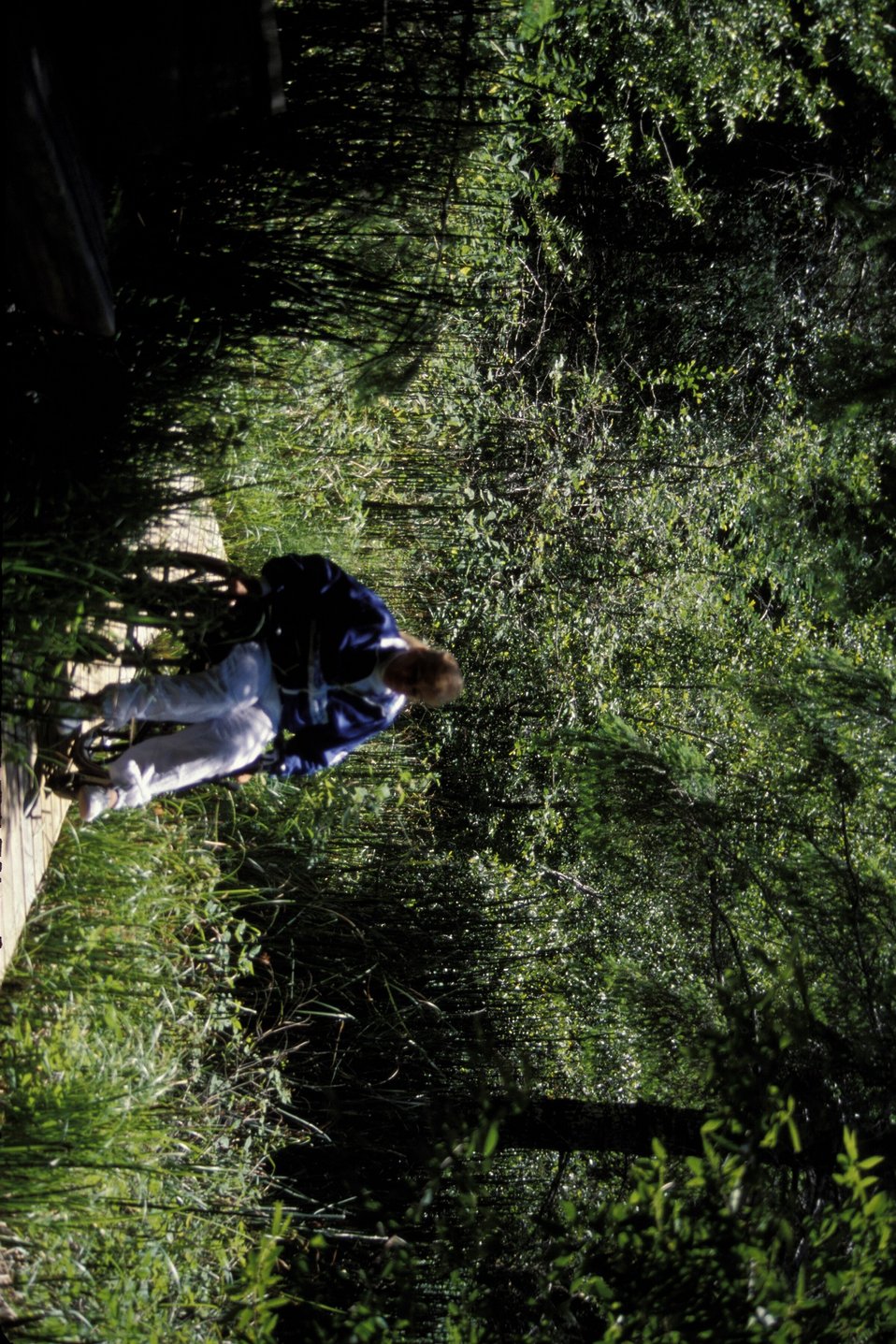 No Image Description Available