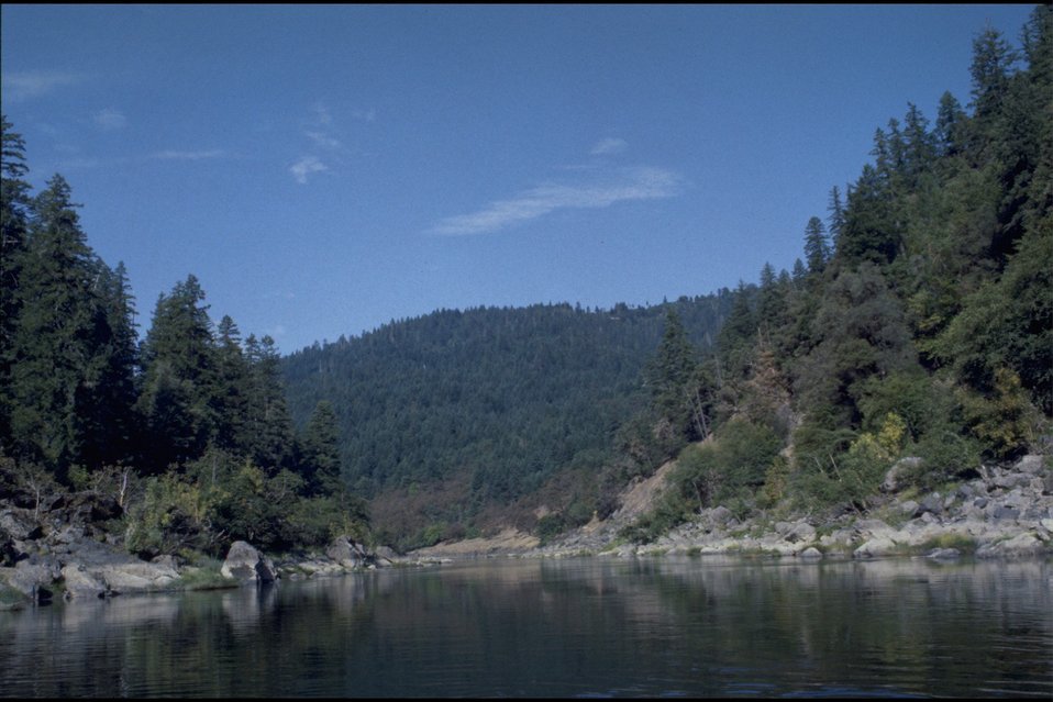 No Image Description Available