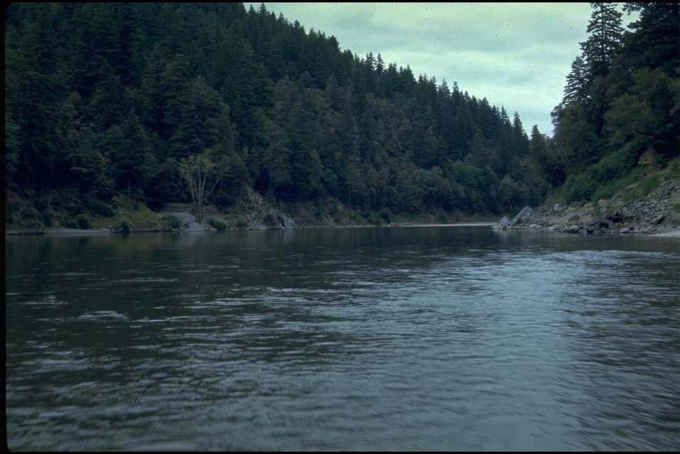 No Image Description Available