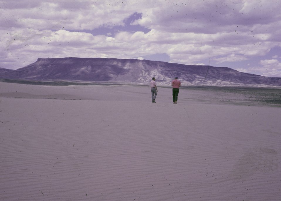 No Image Description Available