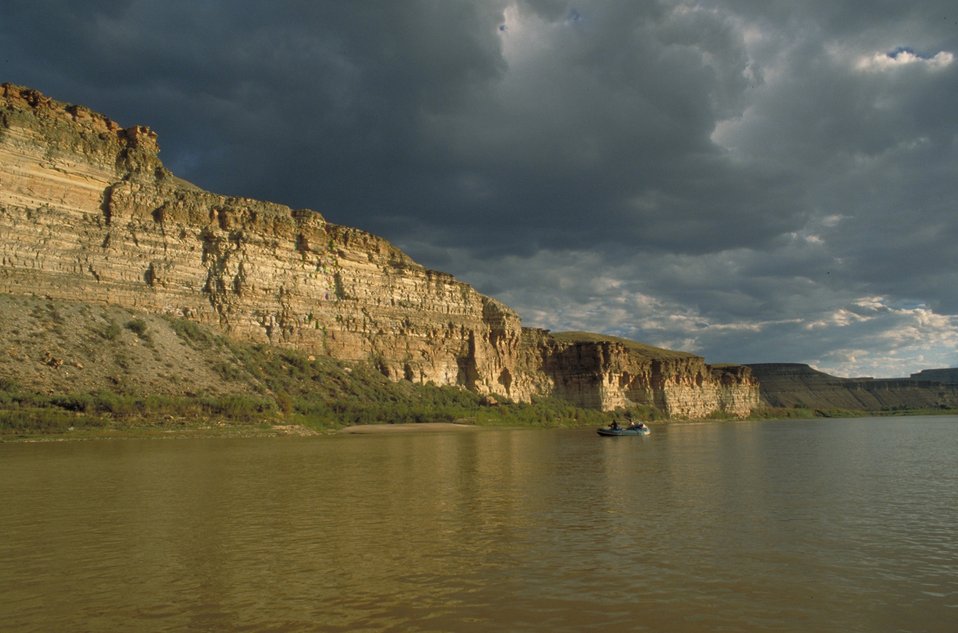 No Image Description Available