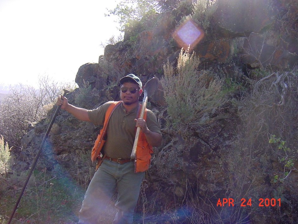 No Image Description Available