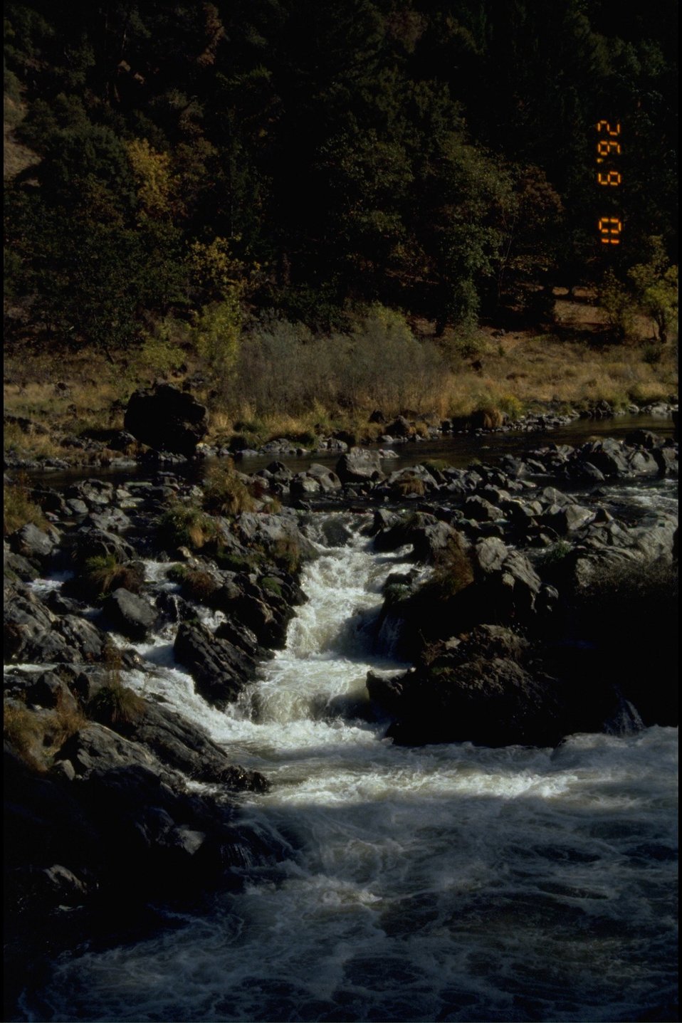 No Image Description Available