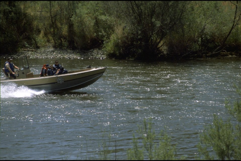 No Image Description Available