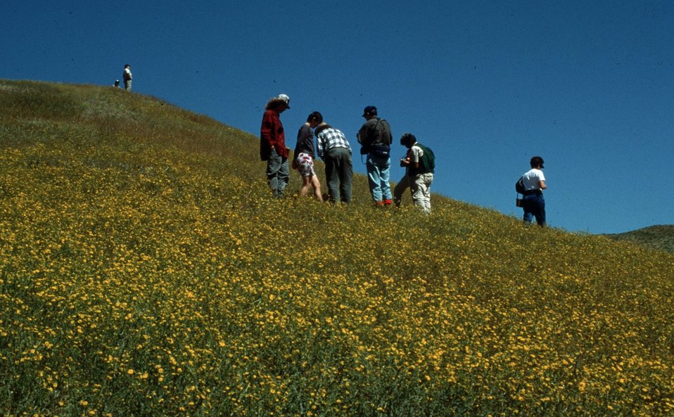 No Image Description Available