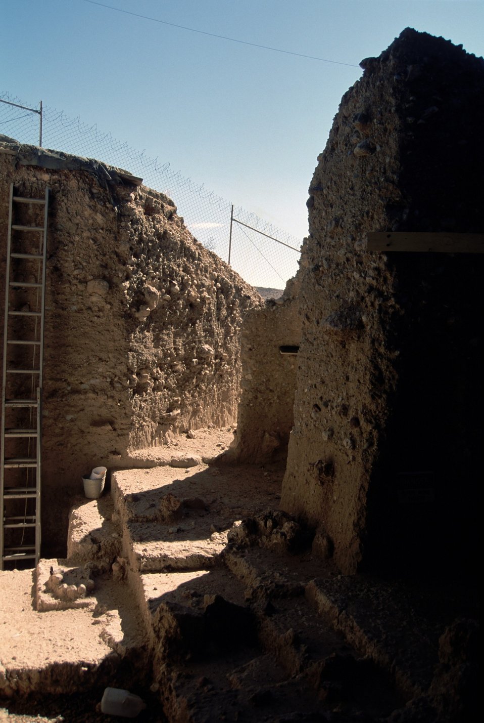 No Image Description Available