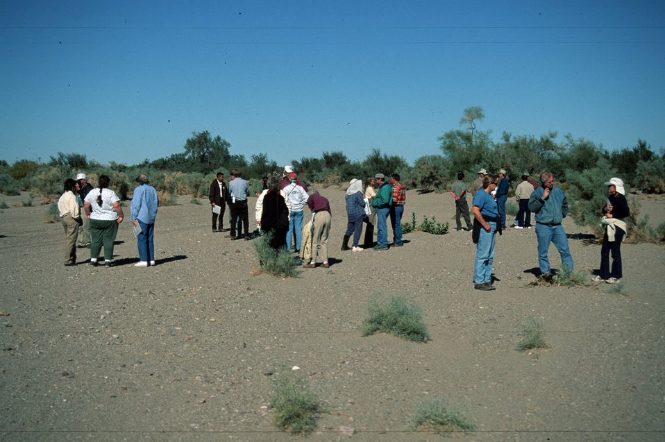 No Image Description Available