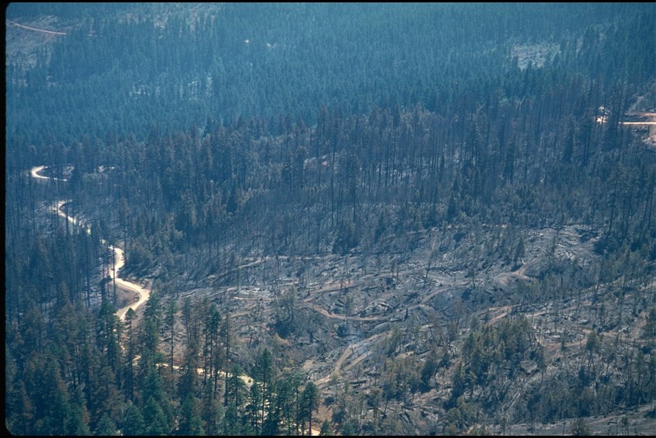 No Image Description Available