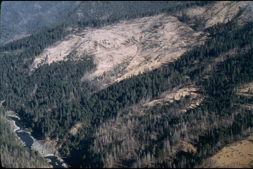 No Image Description Available