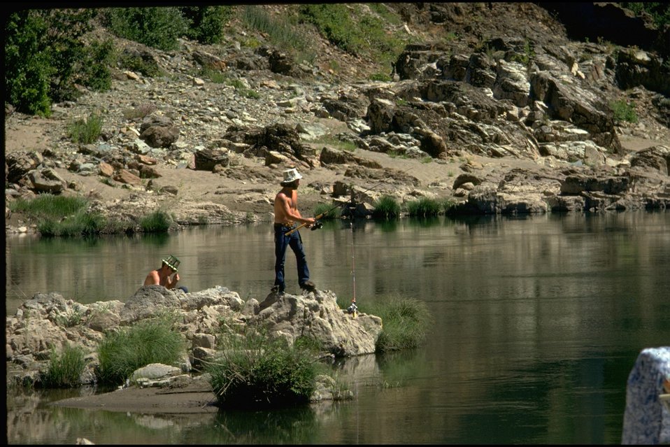 No Image Description Available