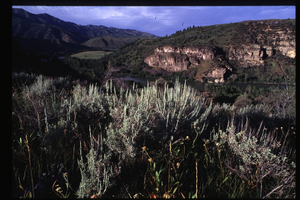 South Fork of Snake River  Idaho Falls Field Office  USRD  Upper Snake River District