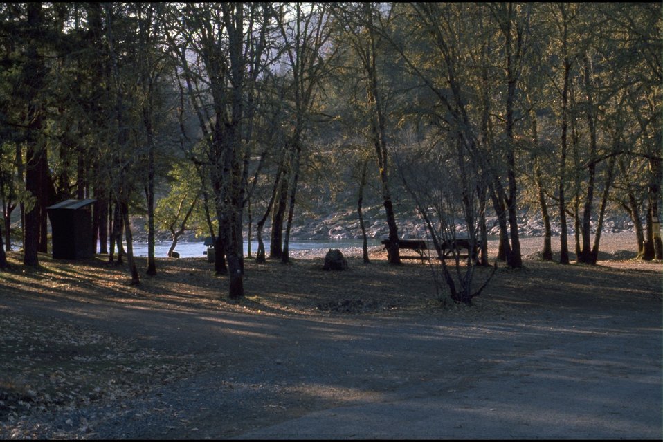 No Image Description Available