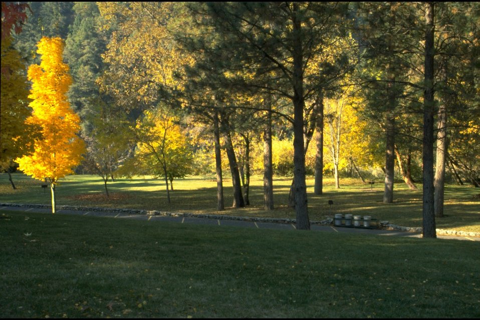 No Image Description Available