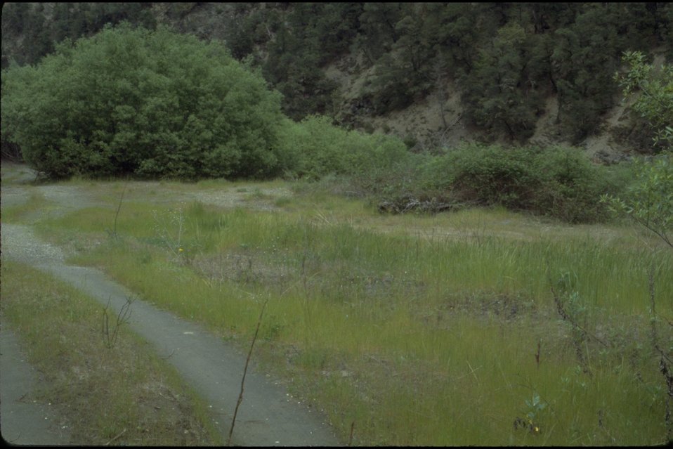 No Image Description Available