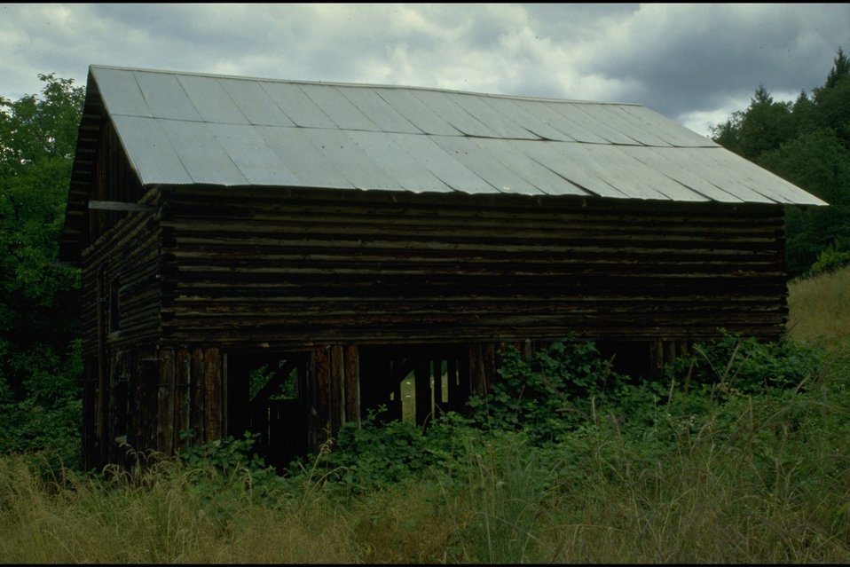 No Image Description Available