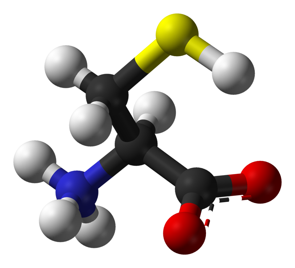 L-cysteine-zwitterion-3D-balls.png