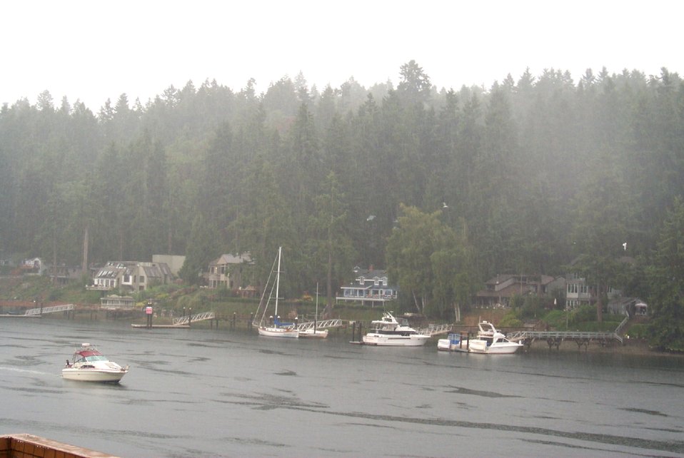  A rainy day at Gig Harbor.  Sport fishing boats are undeterred by the rain. 