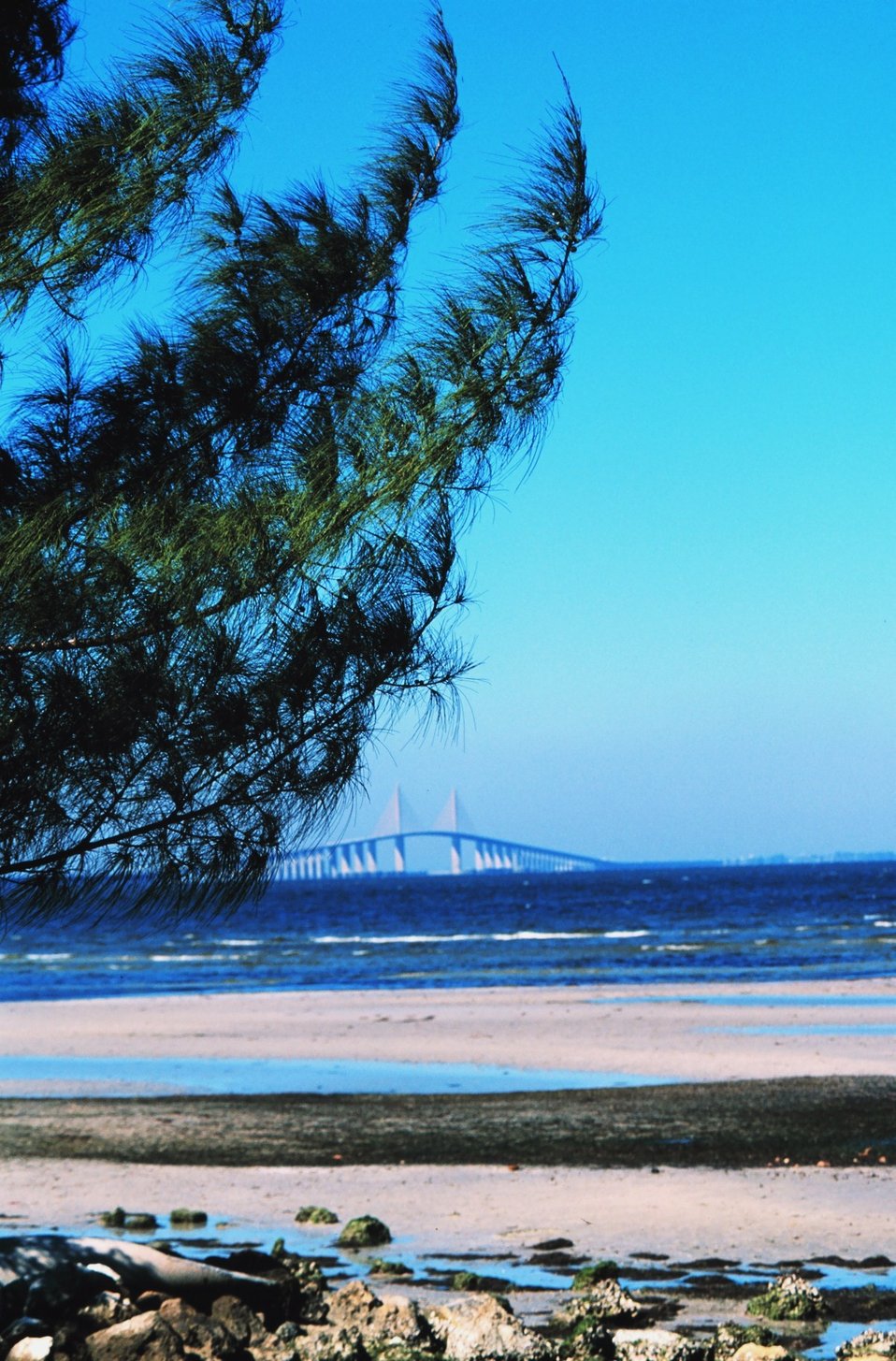  The Sunshine Skyway Bridge looking across the tidal flats towards St. Petersburg 