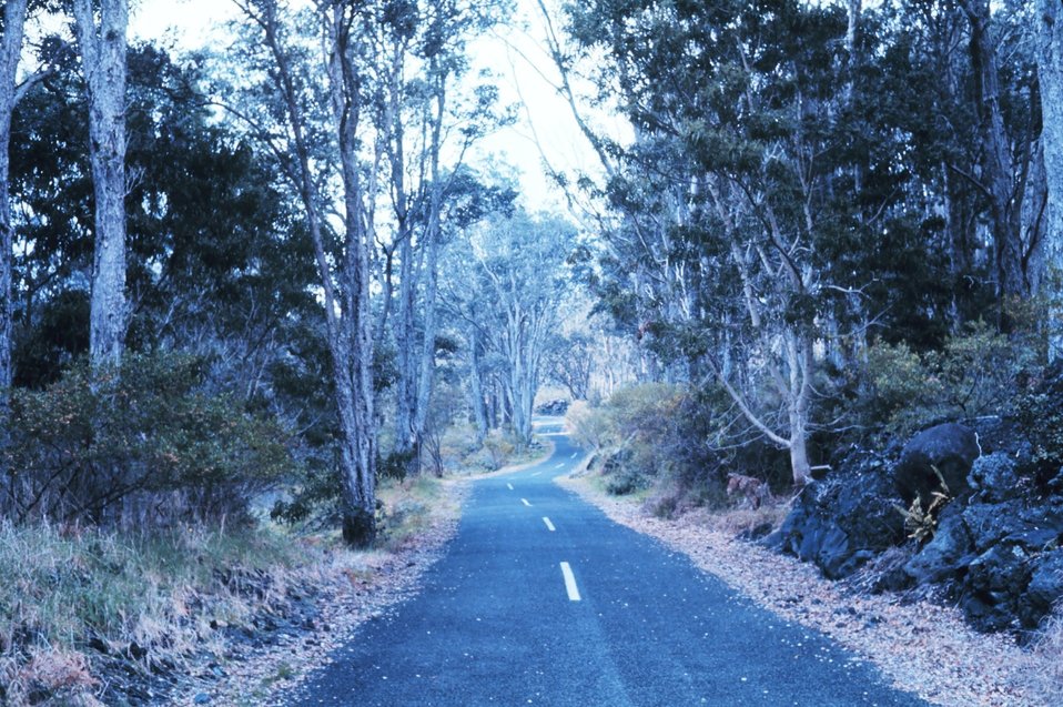  A scene along Chain of Craters Road with a recent lava flow seen to right. 