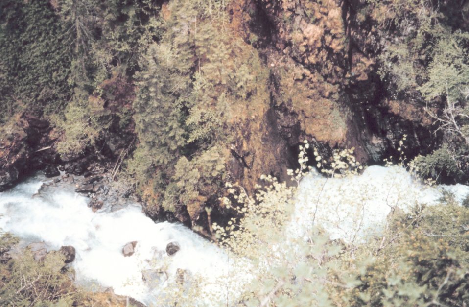  Mountain stream above Mendenhall Glacier 