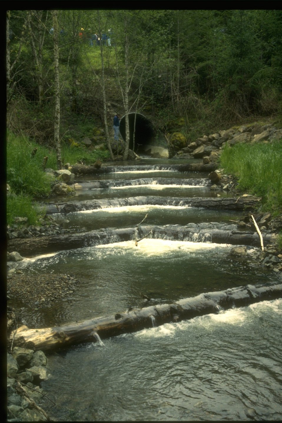 Structures placed in a stream by a fishery.