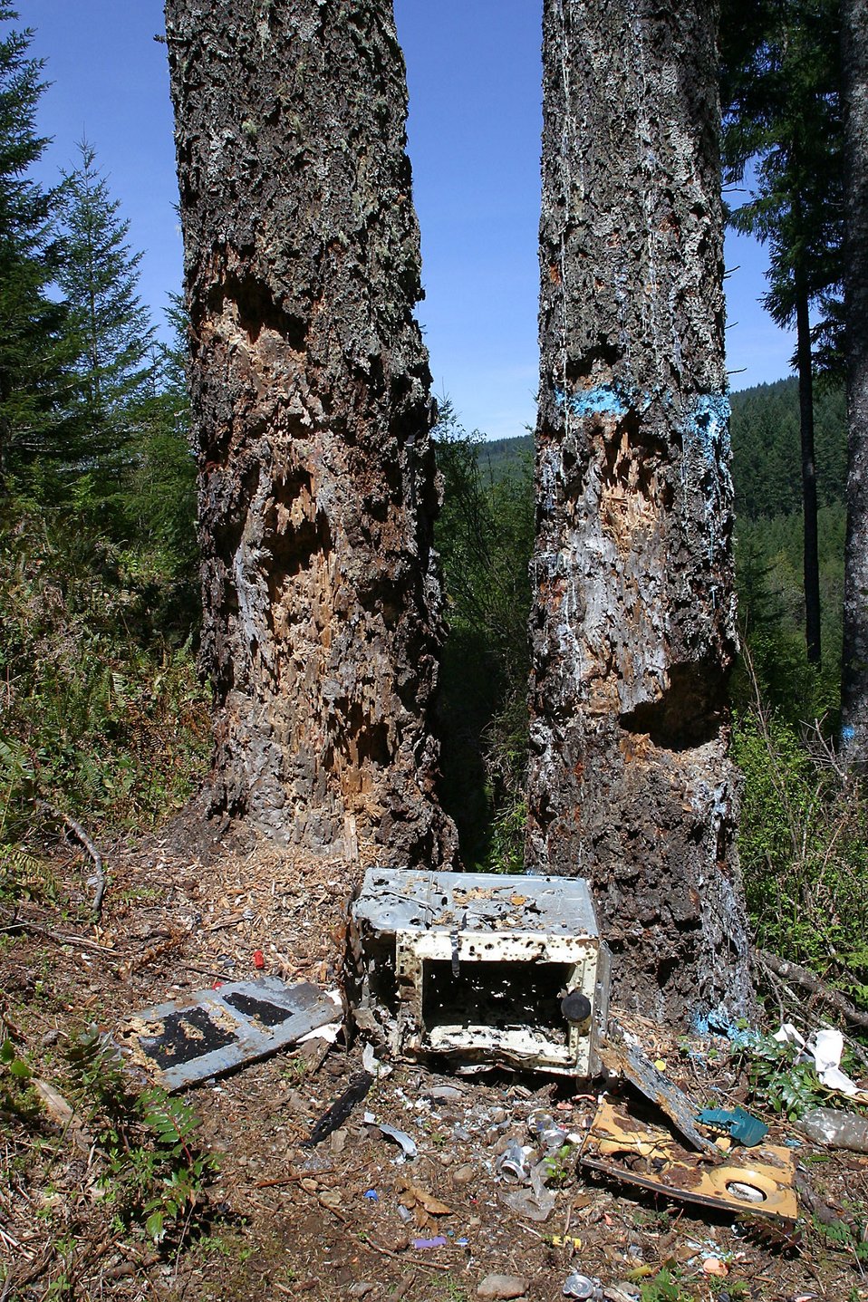 Illegal dumping ground in Santiam watershed used as a shooting range.