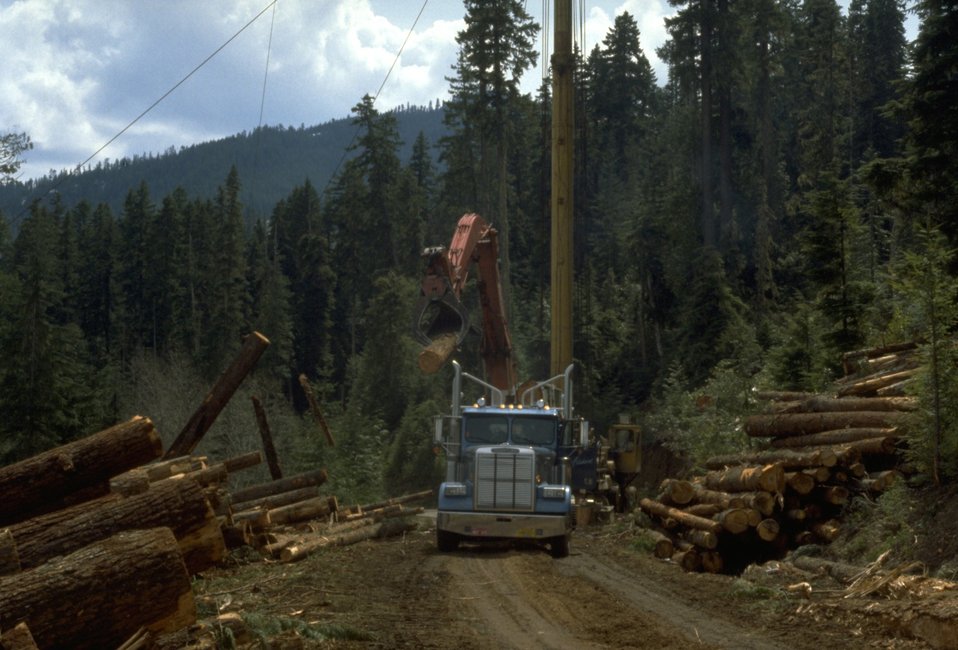 Logging Truck pulling up to a logging site.