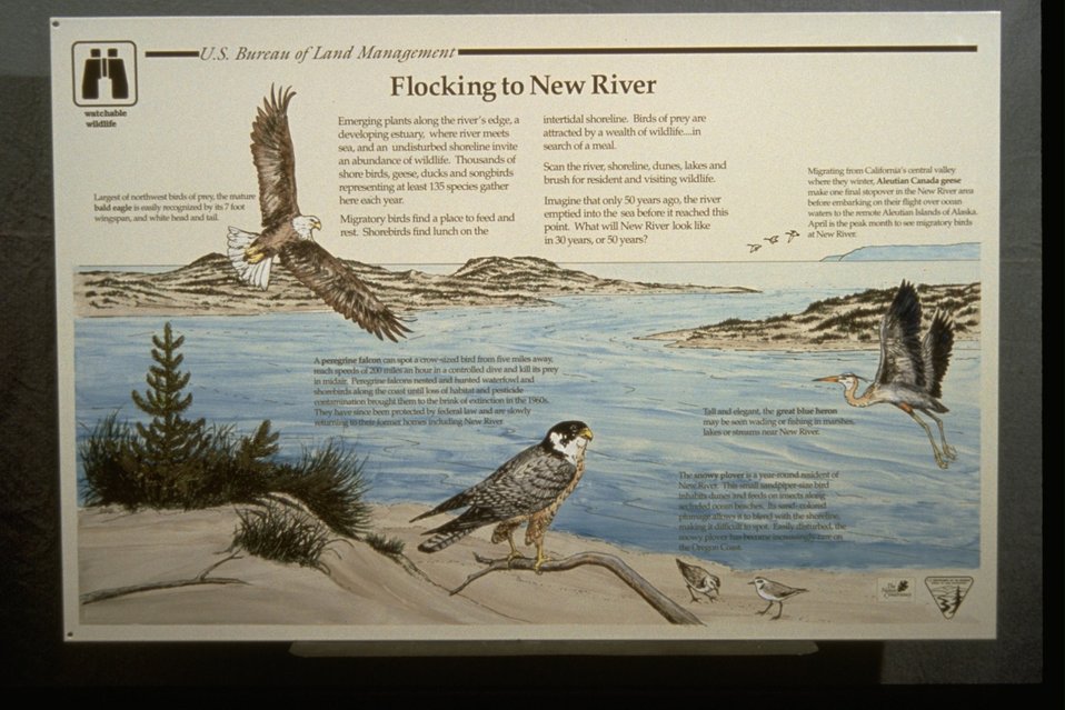 Close-up of the interpretive panell, "Flocking to the New River.