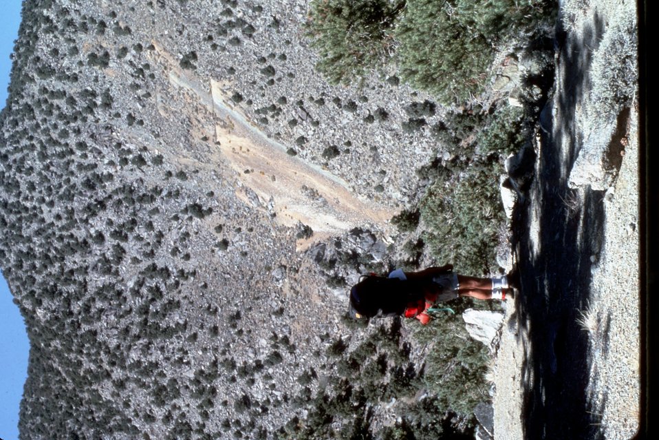 No Image Description Available