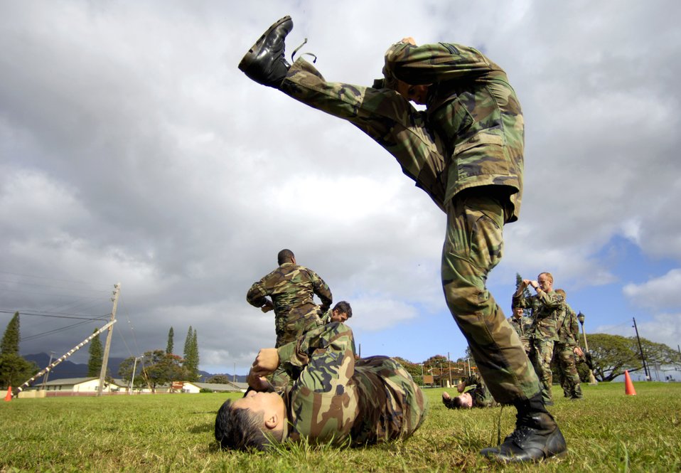 Public Domain Picture | Close-combat skills | ID: 13516347618663 ...